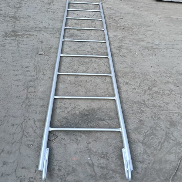 Monkey Ladder